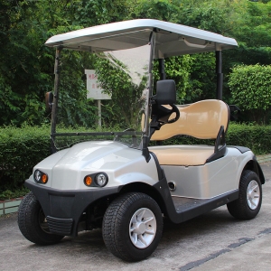 2座电动高尔夫球车MS-MG2